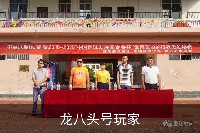 关于龙八头号玩家
